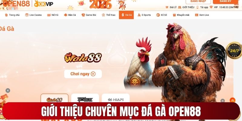 Giới thiệu chuyên mục đá gà OPEN88